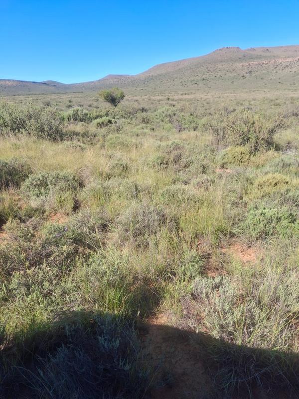 0 Bedroom Property for Sale in Murraysburg Western Cape